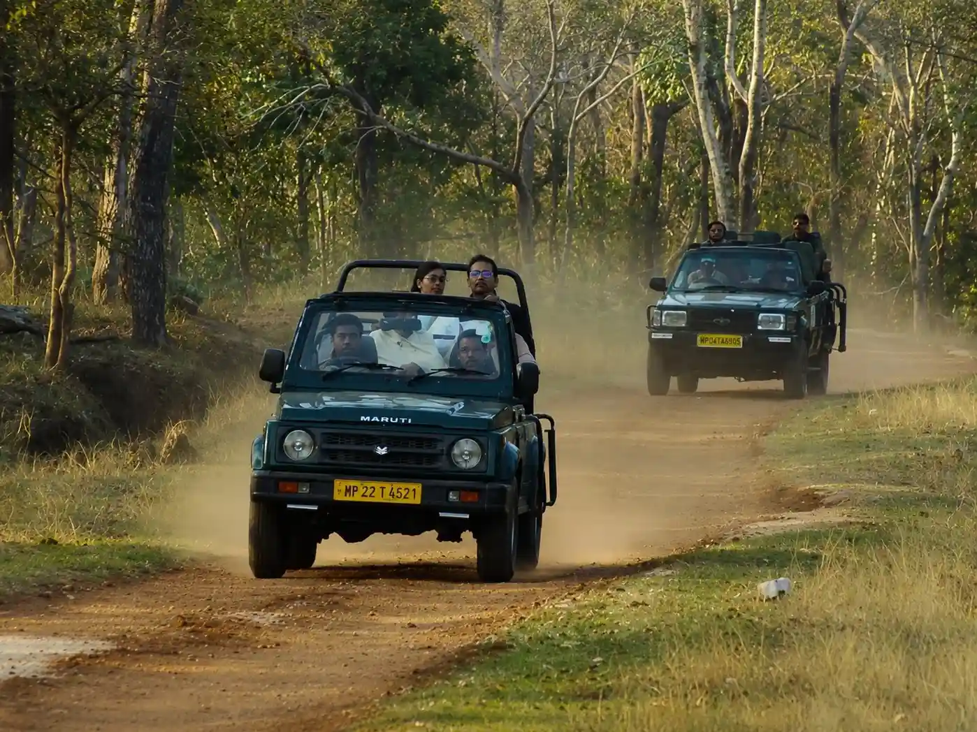 Our Experience as Tadoba Safari Experts