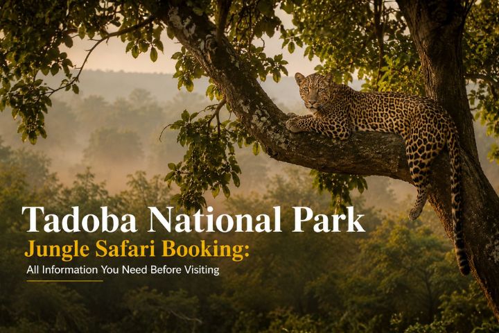 Tadoba Jungle Safari Booking