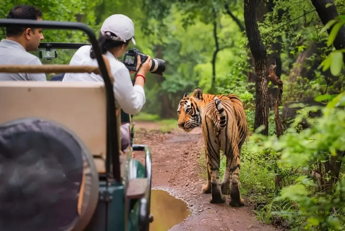 Jungle Bucket List