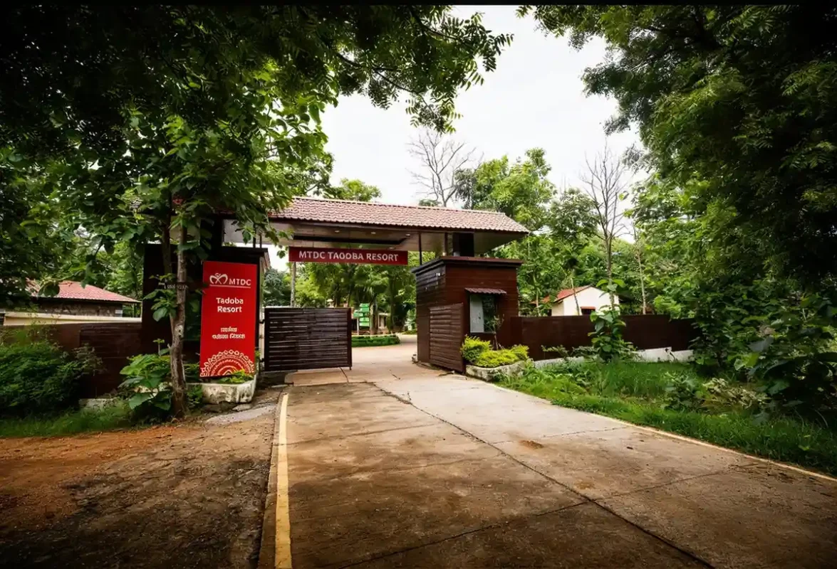 Why Travelers Choose MTDC Tadoba Resort